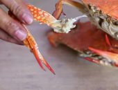 Cómo se comen las patas de cangrejo en Colombia?
